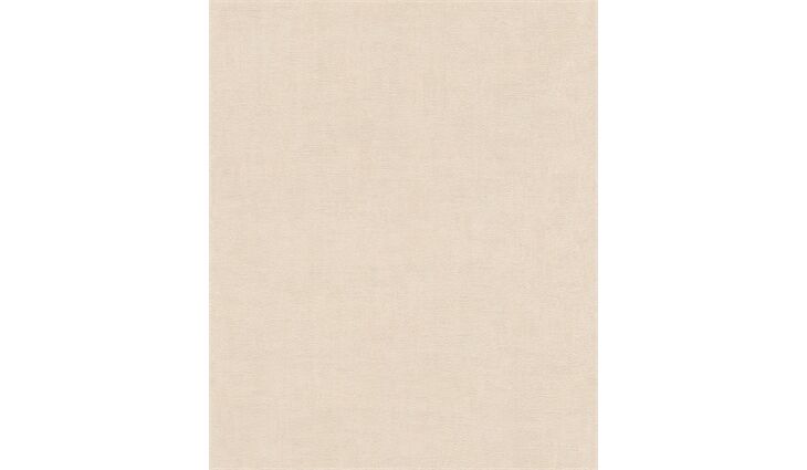 Rasch Vliestapete 489828 Feinputz beige