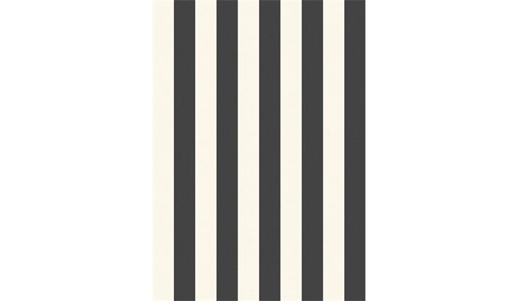 Rasch SCHÖNER WOHNEN Wandbild XXL STRIPE Fototapete schwarz 366662