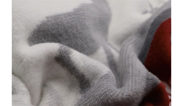 Biederlack Wohndecke Alp View 150x200