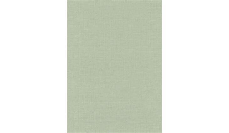 Erismann Vliestapete 10262-35 La Terrasse Uni mint