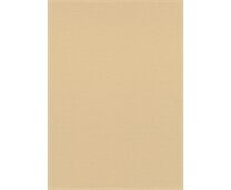 Erismann Vliestapete 10262-06 La Terrasse Uni apricot