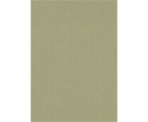 Erismann Vliestapete10510-07 Secret Garden Uni grün