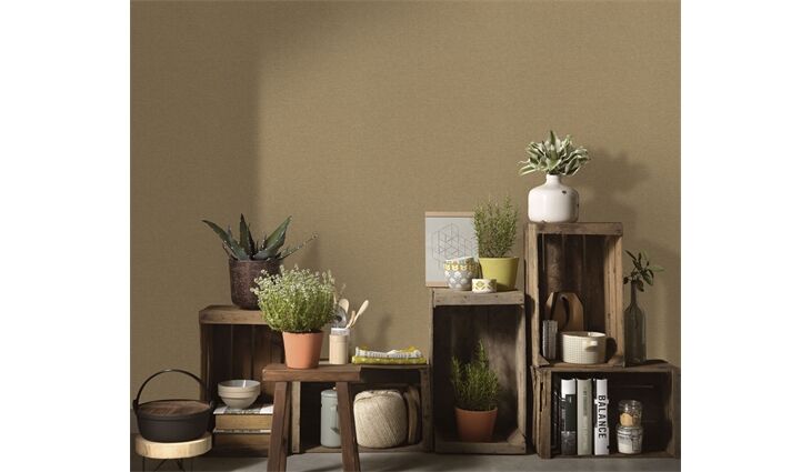 Erismann Vliestapete10510-20 Secret Garden Uni currynatur