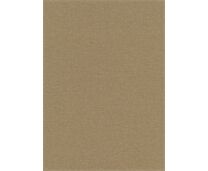 Erismann Vliestapete10510-20 Secret Garden Uni currynatur