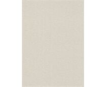 Erismann Vliestapete10510-38 Secret Garden Uni taupe