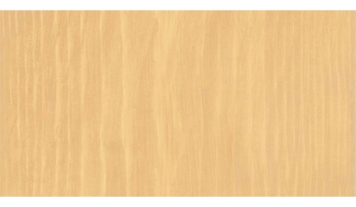 Barend PALM® Holzwurm-Ex farblos - 750 ml