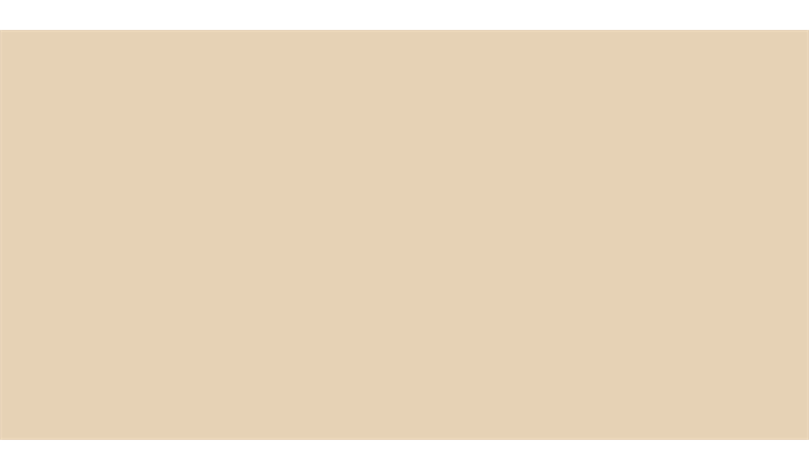 Düfa Premium Seidenmattlack Ivory - 375 ml