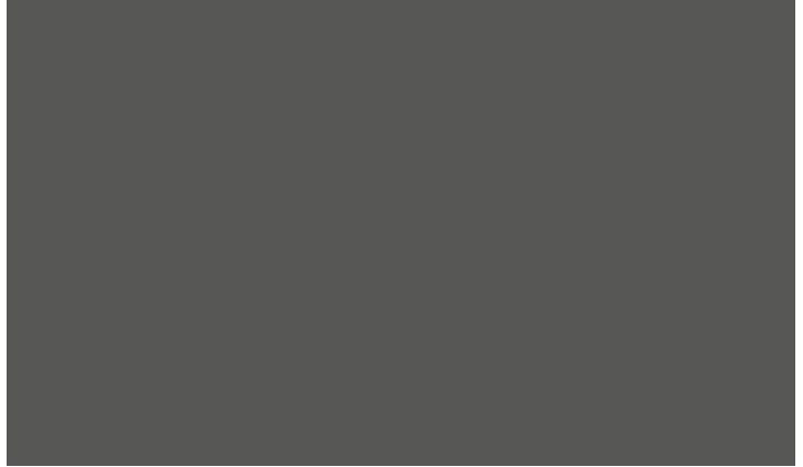 Pufas Dach- + Sockelfarbe DS Schiefer - 5 L