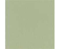 Rasch Vliestapete 423938 Poetry grün