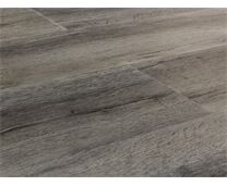 Check Auguste Eiche 2400 - LVT